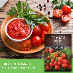 Survival Garden Seeds Tiny Tim tomatoes thriving in a balcony container garden with high yields.