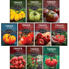 SURVIVAL GARDEN SEEDS tomato seeds 10-variety pack for home planting and fresh meals.