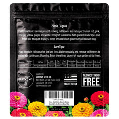 Zinnias thriving in full sun with easy care for busy gardeners.