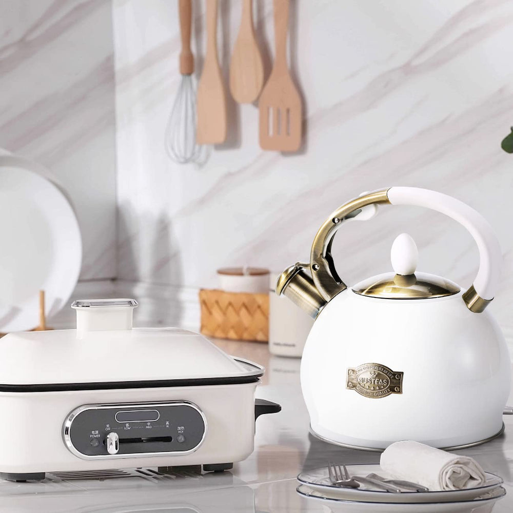 SUSTEAS white kettle on induction stoves demonstrates broad compatibility.