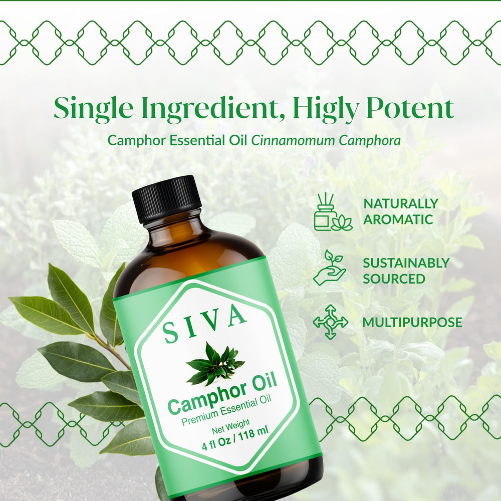SVA ORGANICS Siva Camphor Oil diluted for skin care use