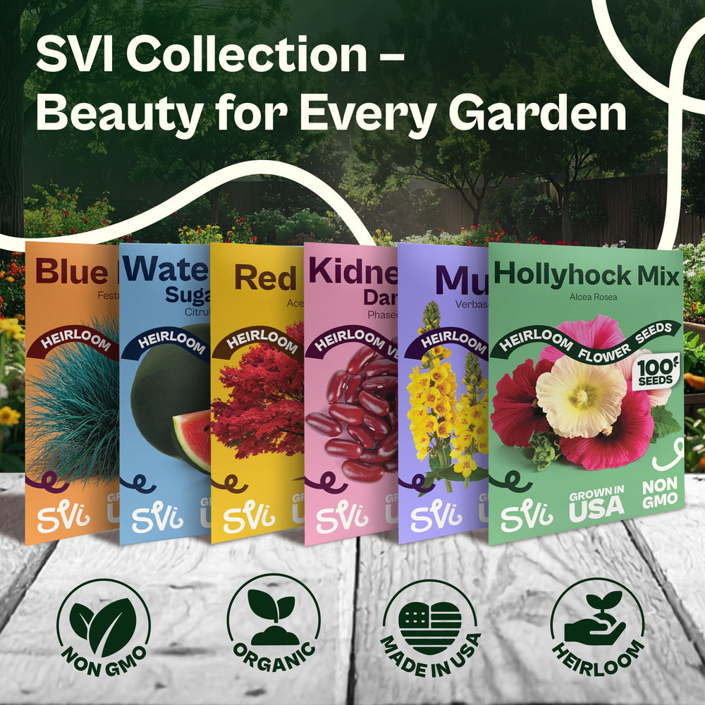 Borders and containers welcome a carefree, colorful wildflower display.