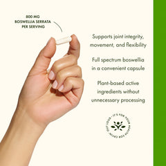 Swanson Boswellia Serrata dosage panel demonstrates clear daily potency.