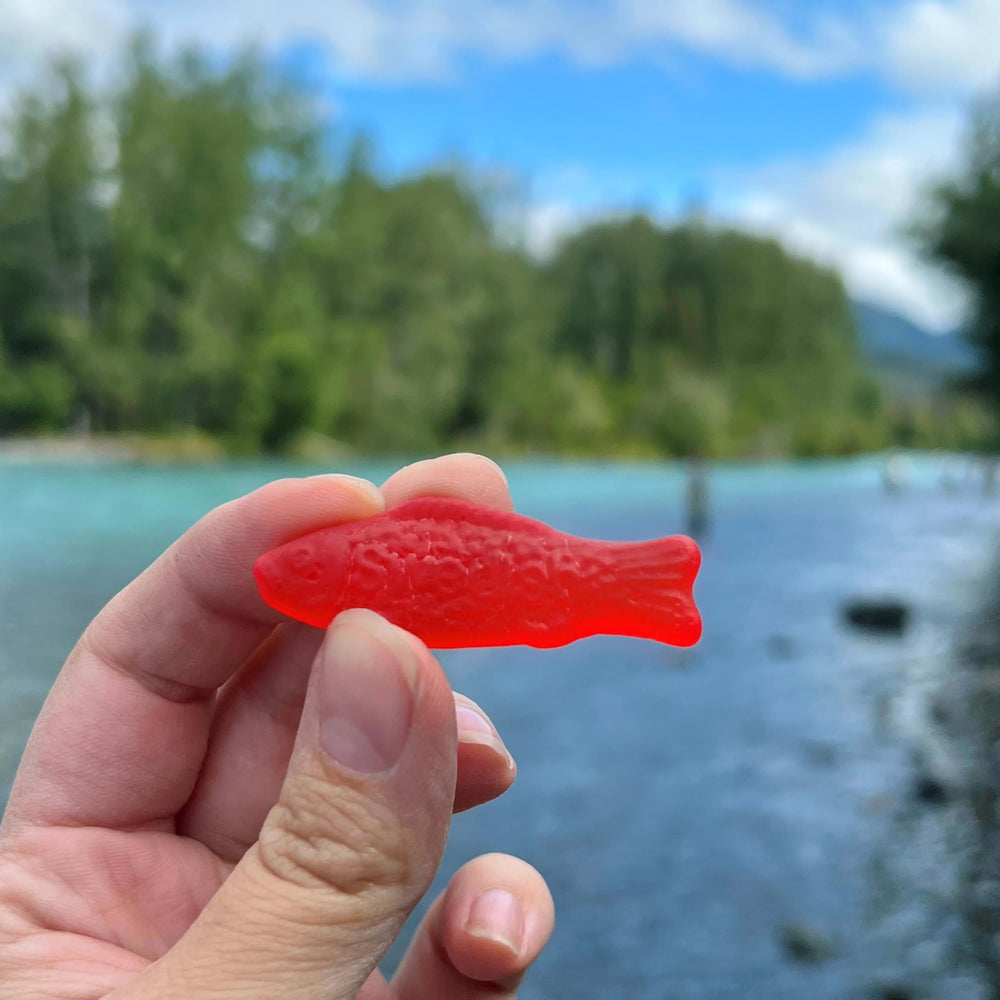Swedish Fish display bowl featuring many bags for easy grabbing.