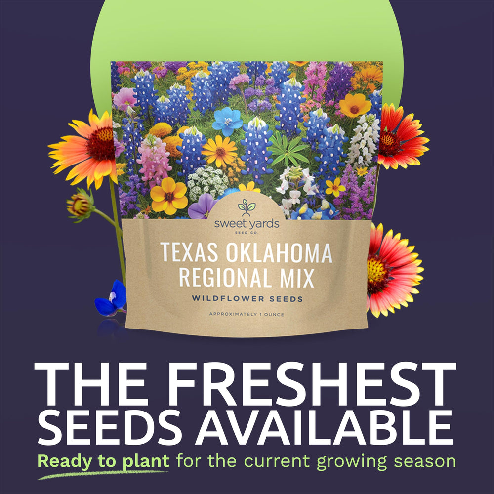 Sweet Yards bulk 1-ounce seed pack ready to cover garden beds with color