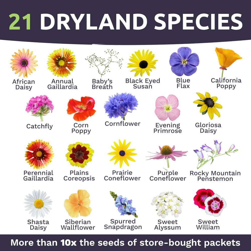 Sweet Yards 21-dryland-species collection label highlights variety