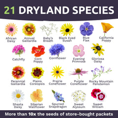 Sweet Yards 21-dryland-species collection label highlights variety