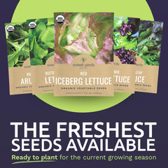 Sweet Yards Arugula seed packet for peppery greens and toppings