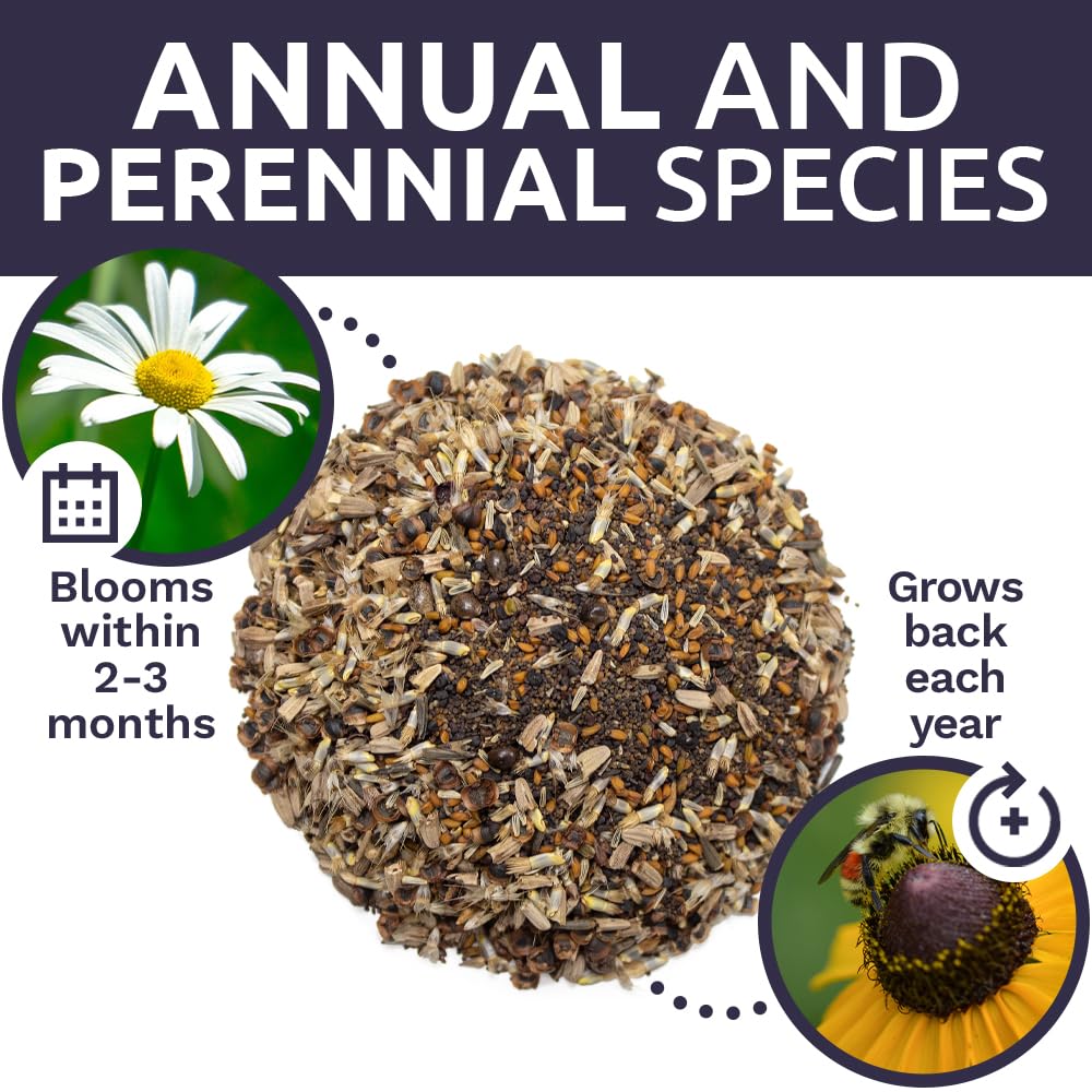 Sweet Yards blooms nectar for pollinators across the growing season.