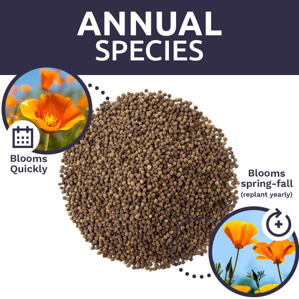 Sweet Yards bees visit the blooms, highlighting pollinator-friendly garden potential.