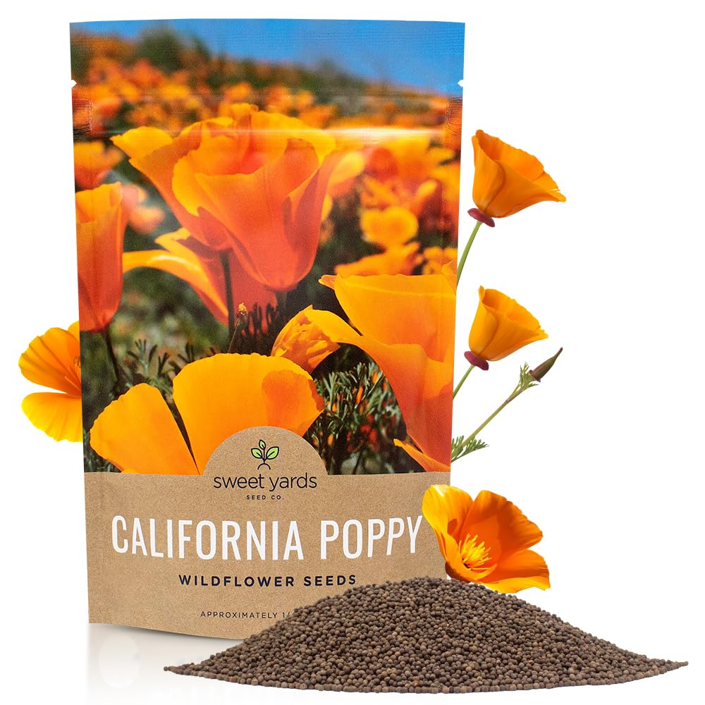 Sweet Yards California Orange Poppy Seeds bulk bag ready for planting.