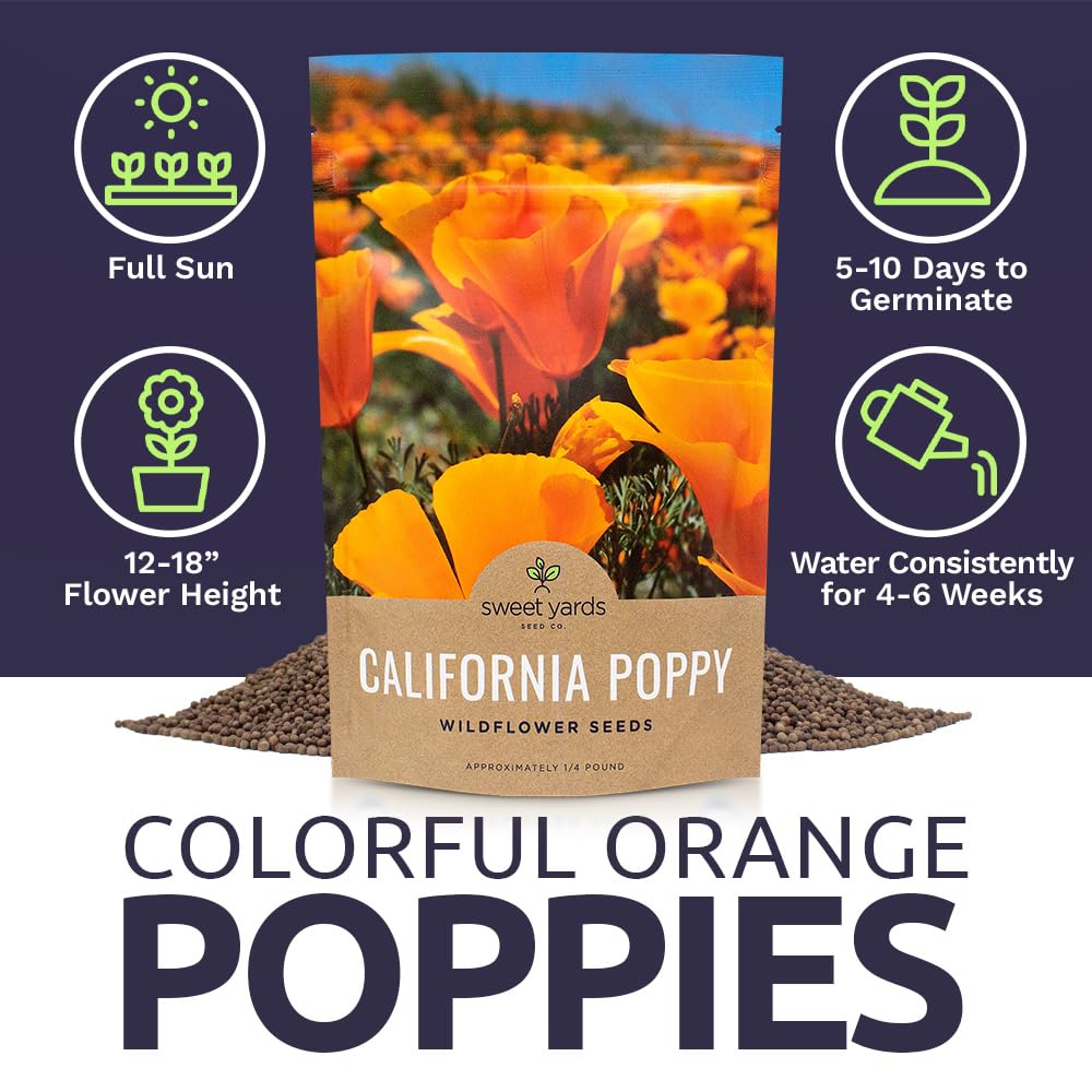 Sweet Yards orange poppy carpet blooming across a landscape.