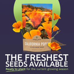 Sweet Yards zipper packaging keeps seeds fresh for longer storage.