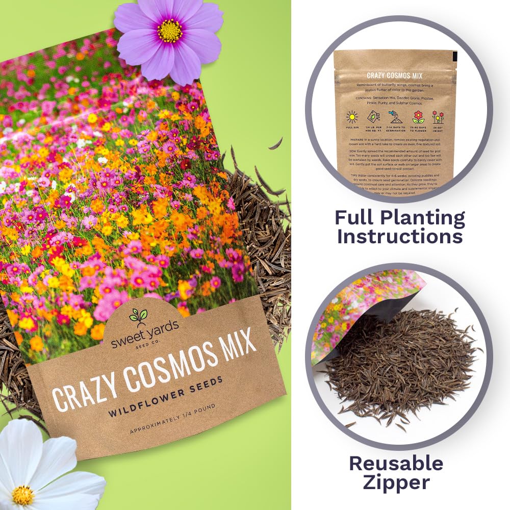 Sweet Yards Cosmos mix blooming in ten shades for a lively outdoor display