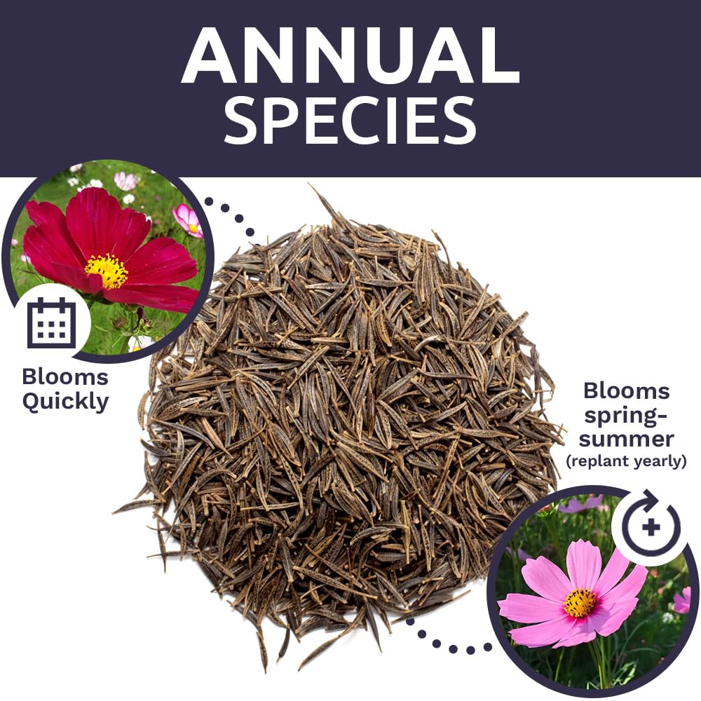 Sweet Yards cosmos seeds cover up to 400 square feet under ideal conditions