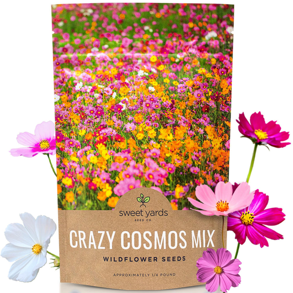 Sweet Yards Cosmos Seeds bulk bag shows vibrant garden color potential