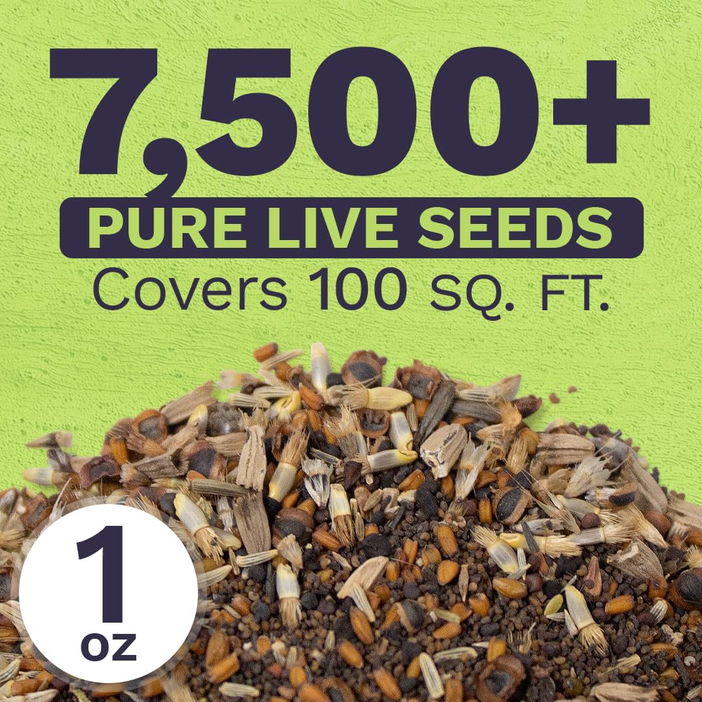 Sweet Yards extra-large 1oz packet ready for quick sowing.