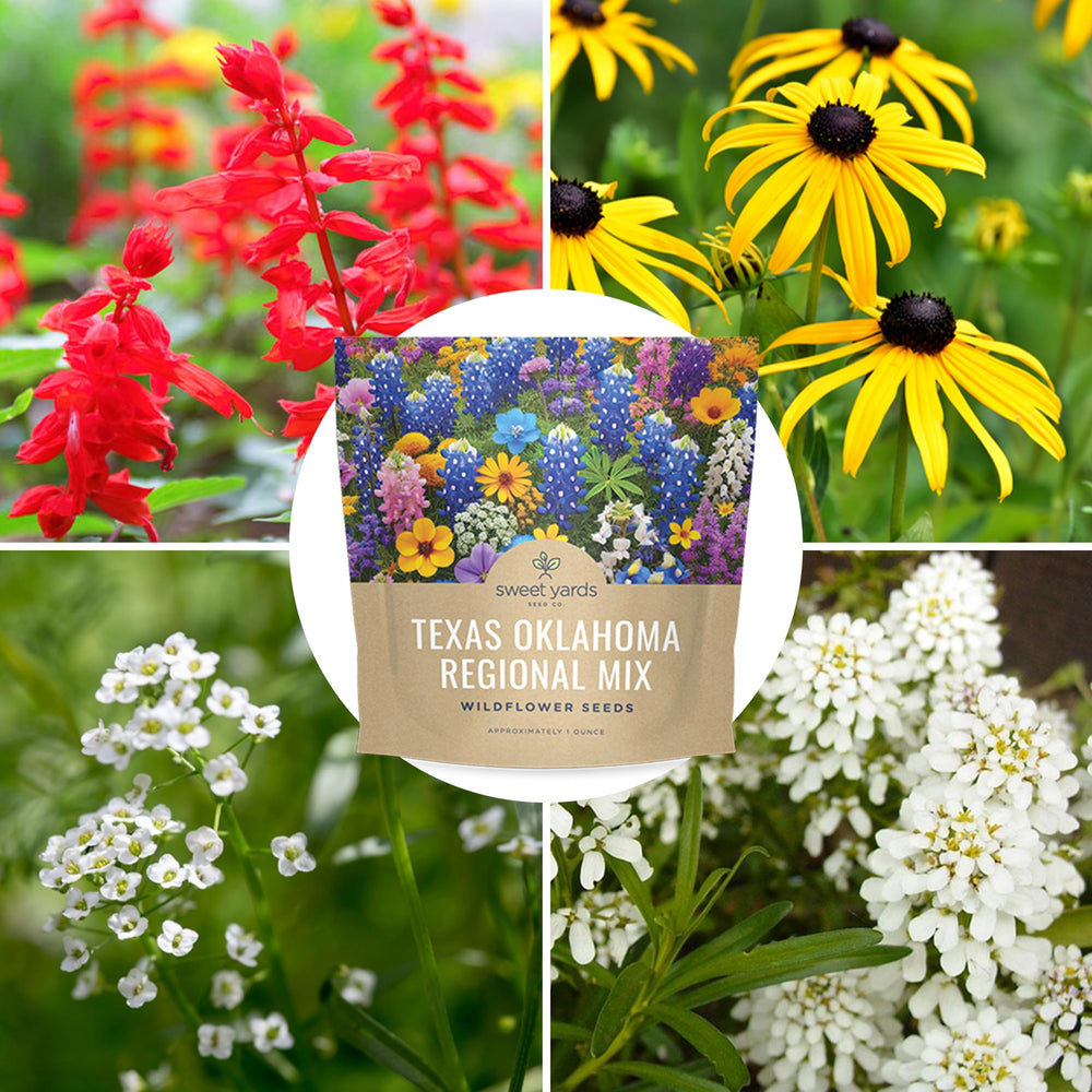 Sweet Yards gift-ready seed packaging ideal for plant lovers and gardens