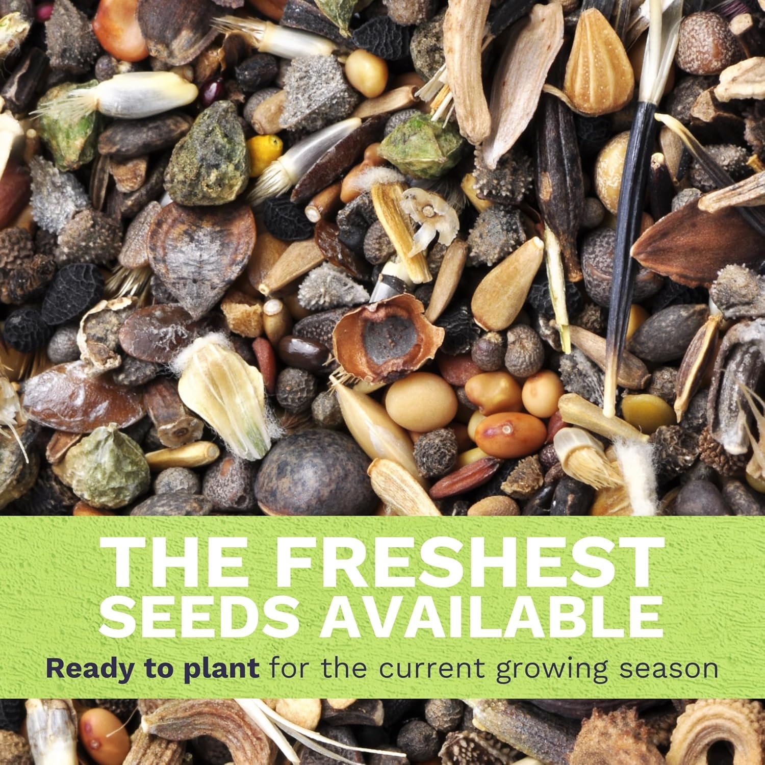 Sweet Yards seed packet front view with planting instructions.