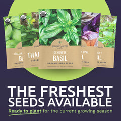 Sweet Yards Lemon basil seeds packet for bright citrus notes in salads and pasta