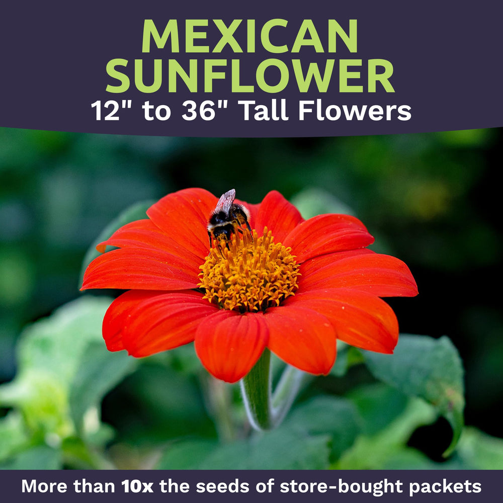 SWEET YARDS premium packaging with zipper and planting instructions.