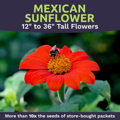 SWEET YARDS premium packaging with zipper and planting instructions.