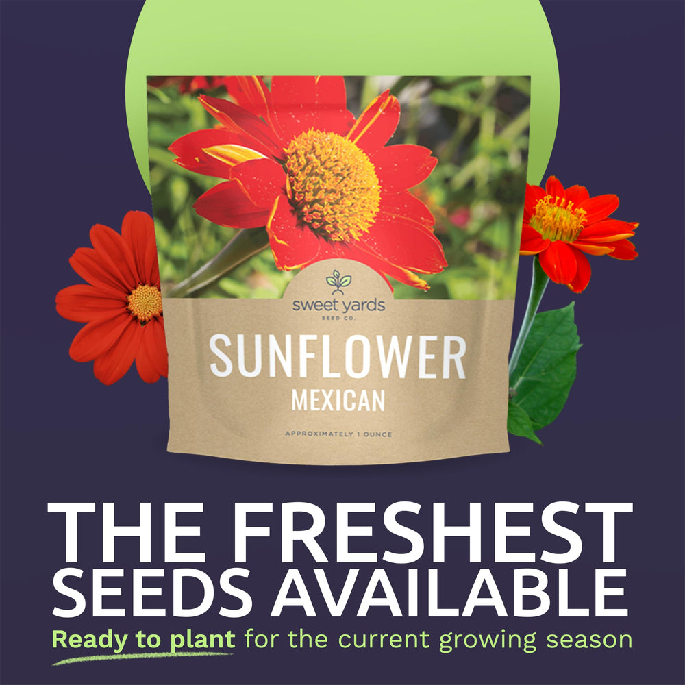 SWEET YARDS seed packet close-up highlighting seed count and freshness.