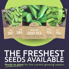 Sweet Yards Oregon Giant Snow Pea packet for trellised yields
