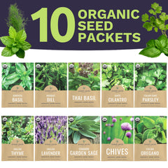 Sweet Yards Santo Cilantro seeds for fragrant homegrown cilantro leaves.