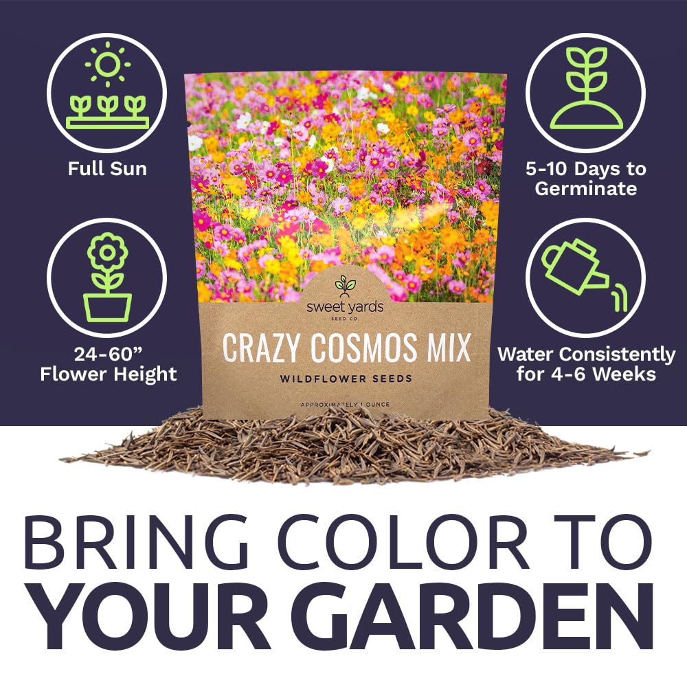 Outdoor-friendly Cosmos seeds ready for borders beds or containers