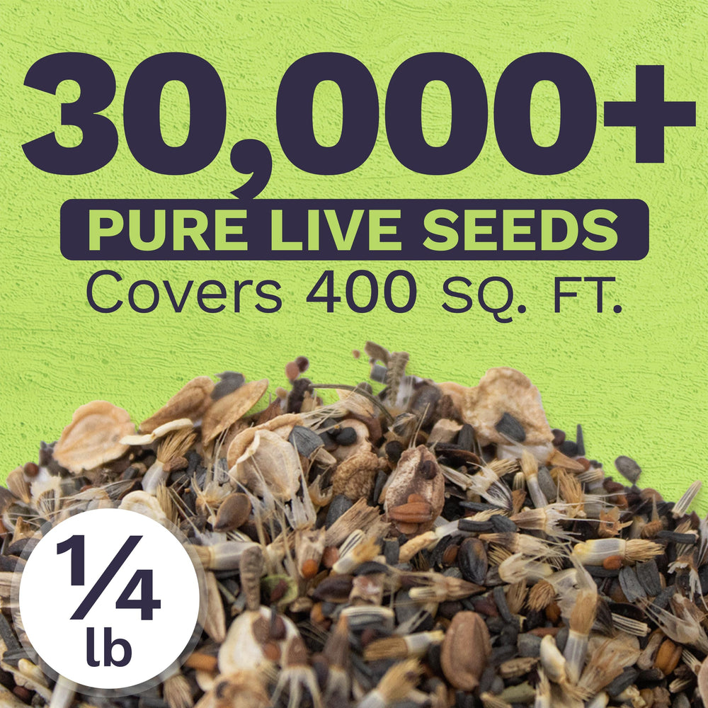 Sweet Yards over 30,000 seeds bulk bag ready for sowing