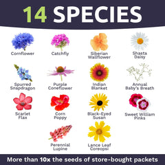 Sweet Yards 7500-plus seeds emphasize abundant planting and bloom potential.