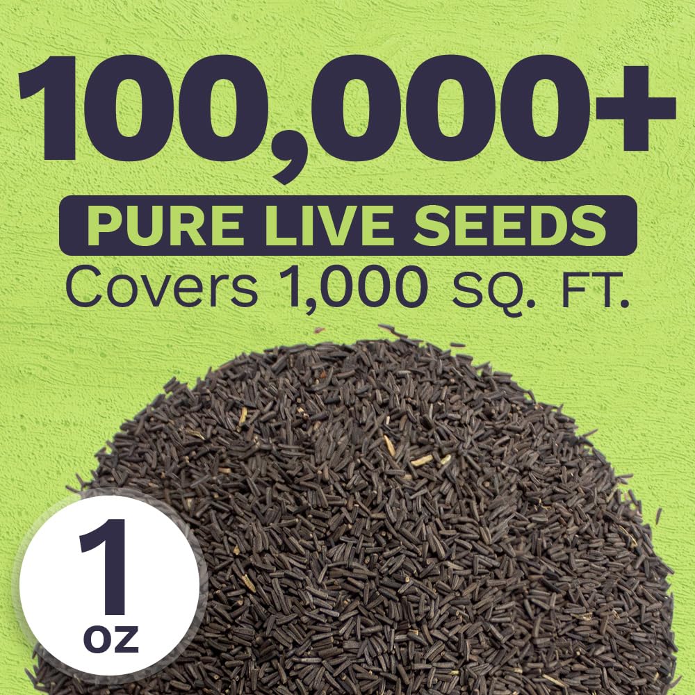 Sweet Yards seed packaging with instructions helps new gardeners plant confidently.