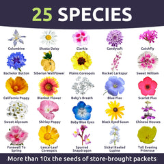 Sweet Yards seeds closeup 24k live seeds, high germination potential for lush beds.