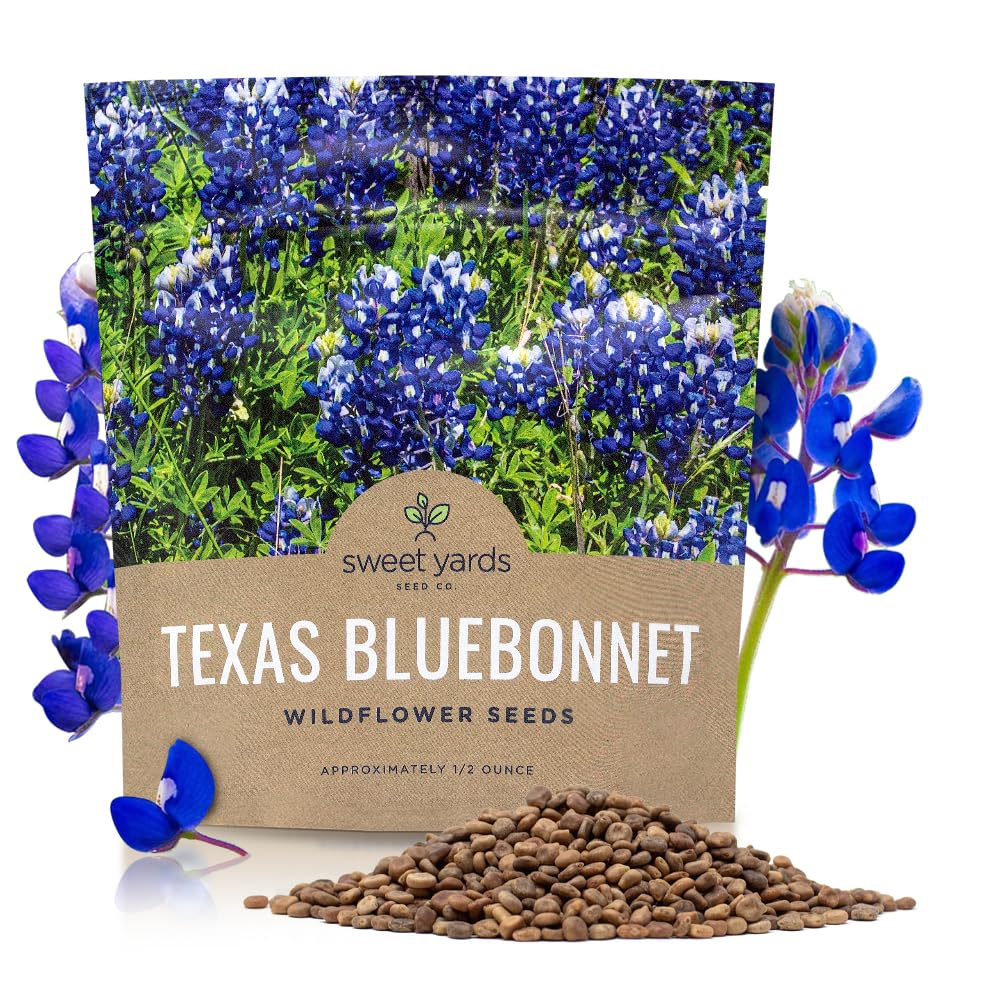 Sweet Yards Texas Bluebonnet seeds bulk packet showing 500+ seeds for 25 square feet of color