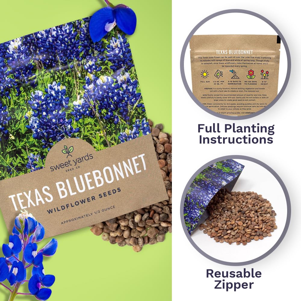Sweet Yards Texas Bluebonnet seeds germination-ready for effortless seed starting