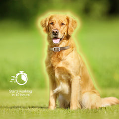 SweetEcho flea collar adjustable strap for easy fit.
