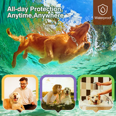 SweetEcho flea collar oils close-up, cedarwood and peppermint for gentle protection.
