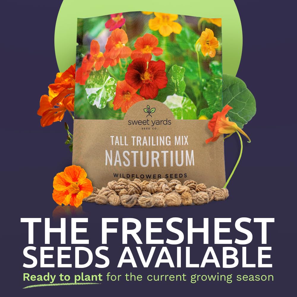 SWEET YARDS Nasturtium seeds extra-large packet closeup shows generous seed count