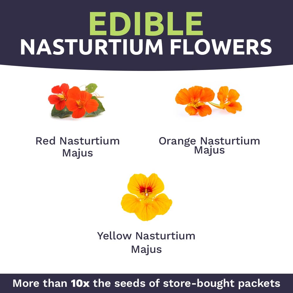 SWEET YARDS Nasturtium seeds planted in a flower bed display vibrant colors
