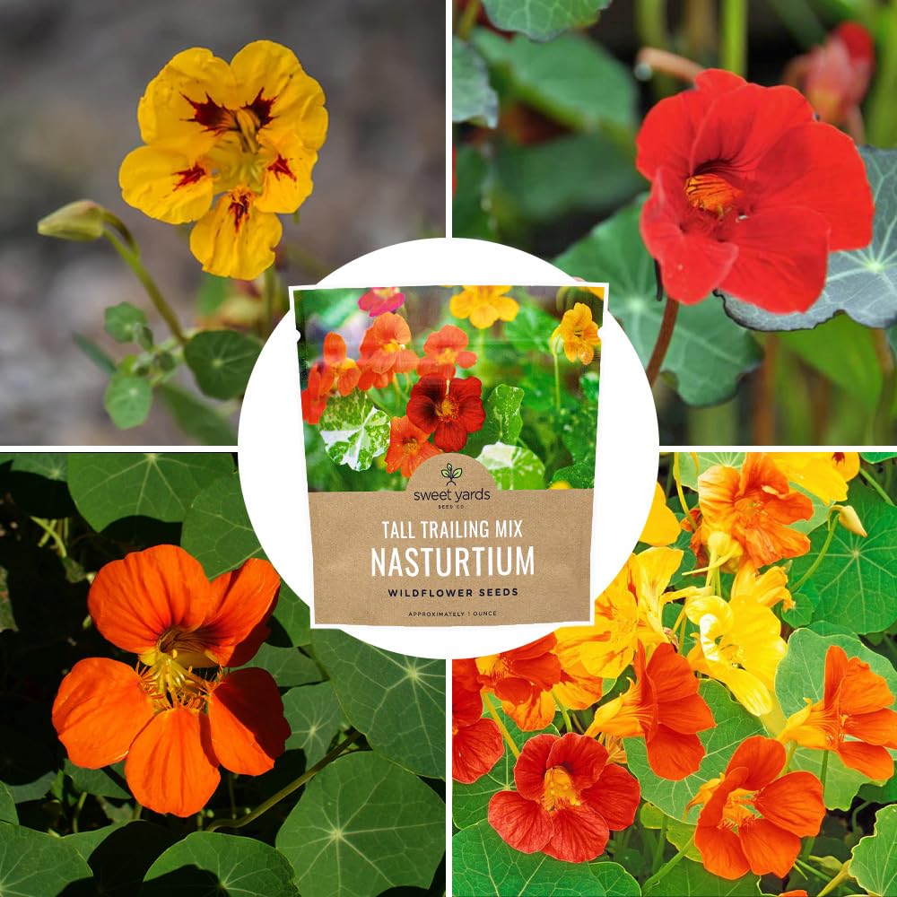 SWEET YARDS Nasturtium seeds gift-ready packaging suggests a thoughtful present