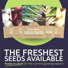 White Ishikura Green Onion seed packet by Sweet Yards for crisp greens