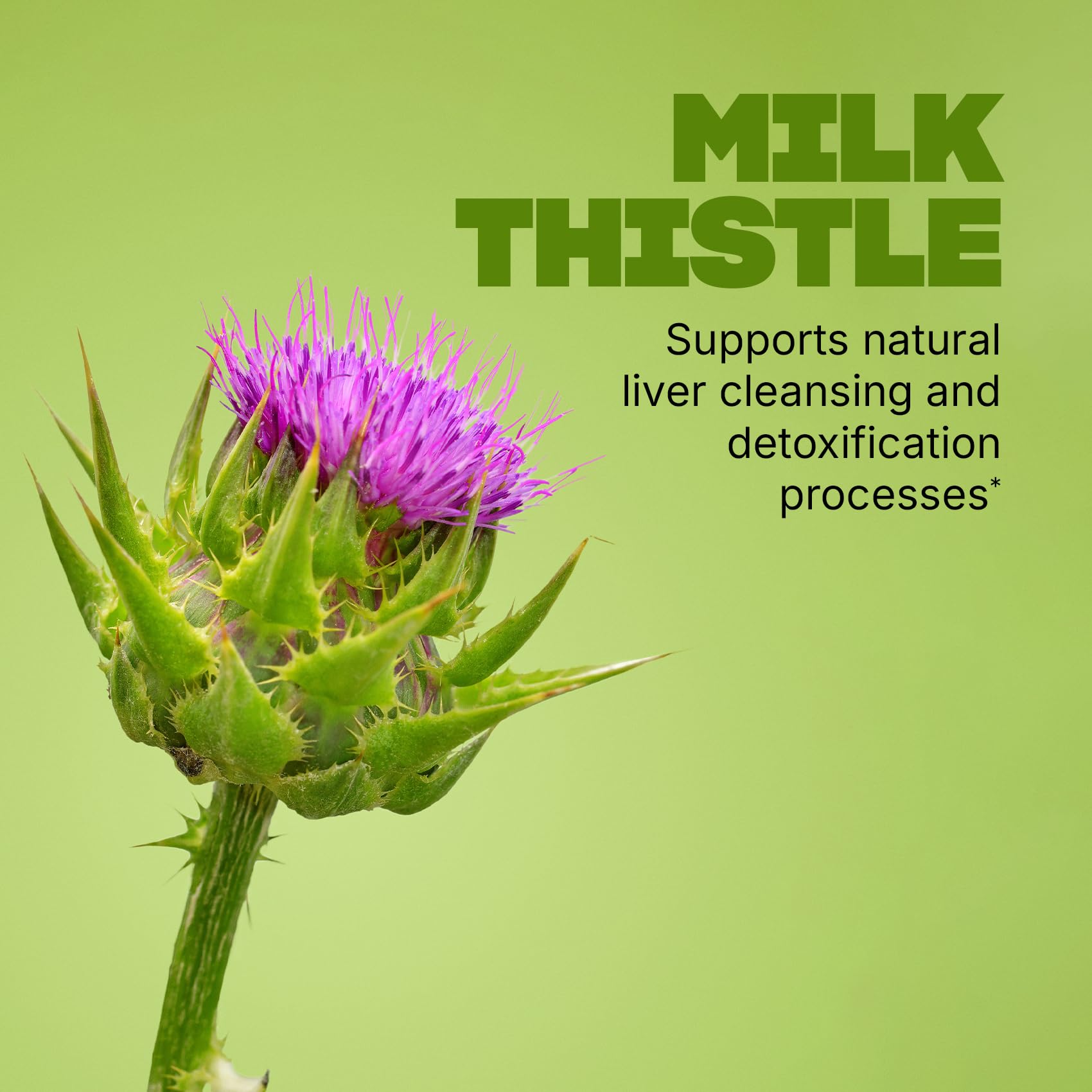 Swisse Milk Thistle and Turmeric ingredients highlighted on the bottle label.