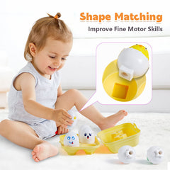 SYHLN bright colors on eggs aid color matching and visual differentiation.