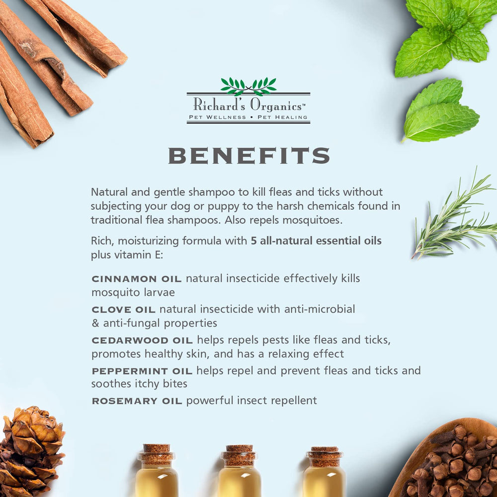 Richard’s Organics shampoing chien poil lisse: pelage brillant et douceur après rinçage.