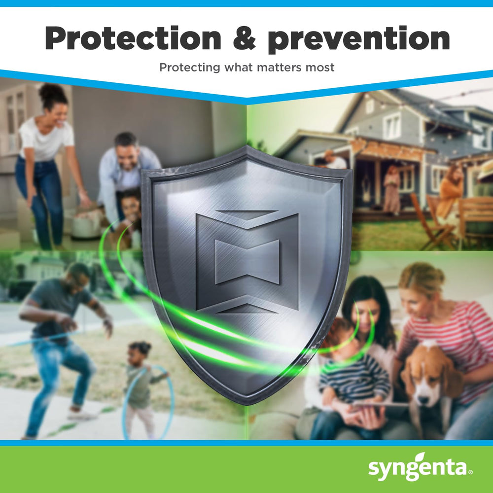 Syngenta Advion ant gel on a surface to attract ants.
