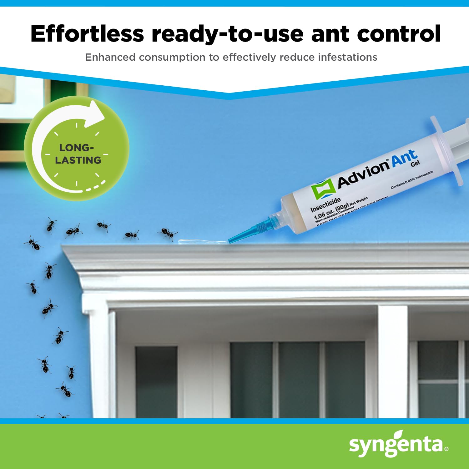 Visible ant trails indicating infestation areas for Advion gel treatment.