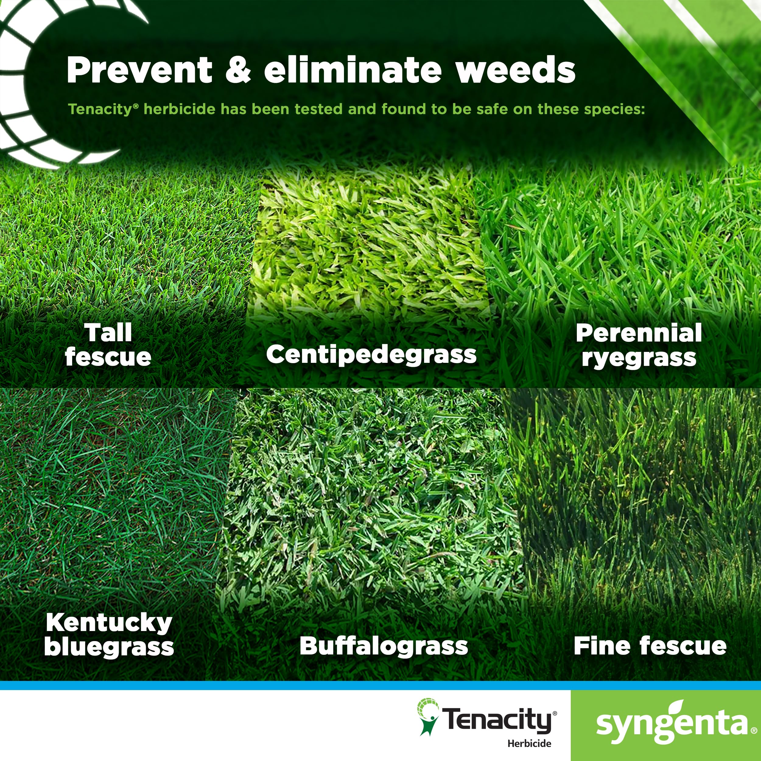Syngenta Tenacity Turf spray mist demonstrates easy lawn application.