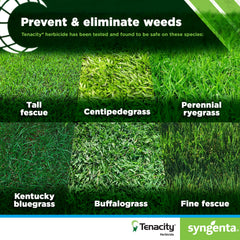 Syngenta Tenacity Turf spray mist demonstrates easy lawn application.