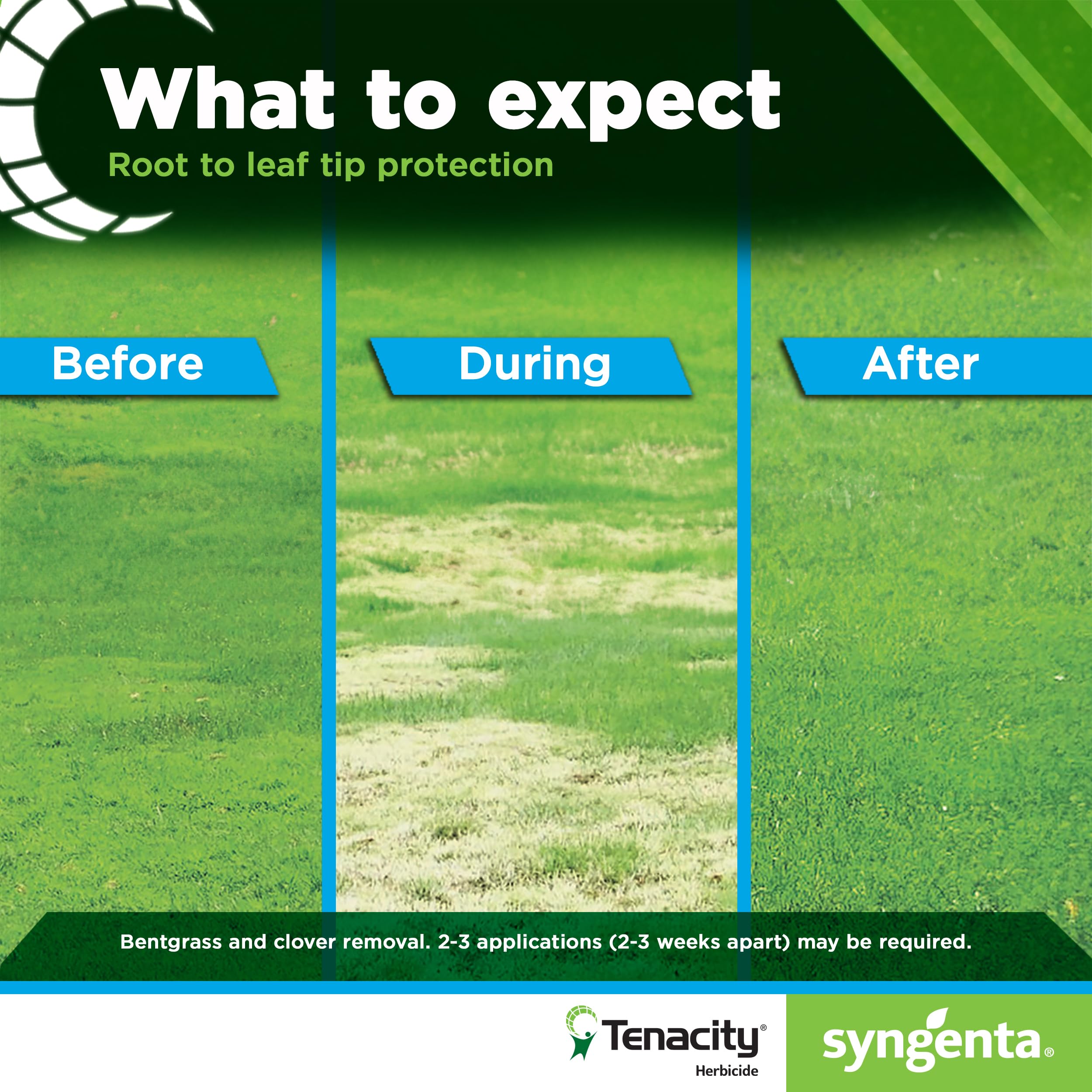 Syngenta Tenacity Turf target weeds list image highlights common lawn invaders.